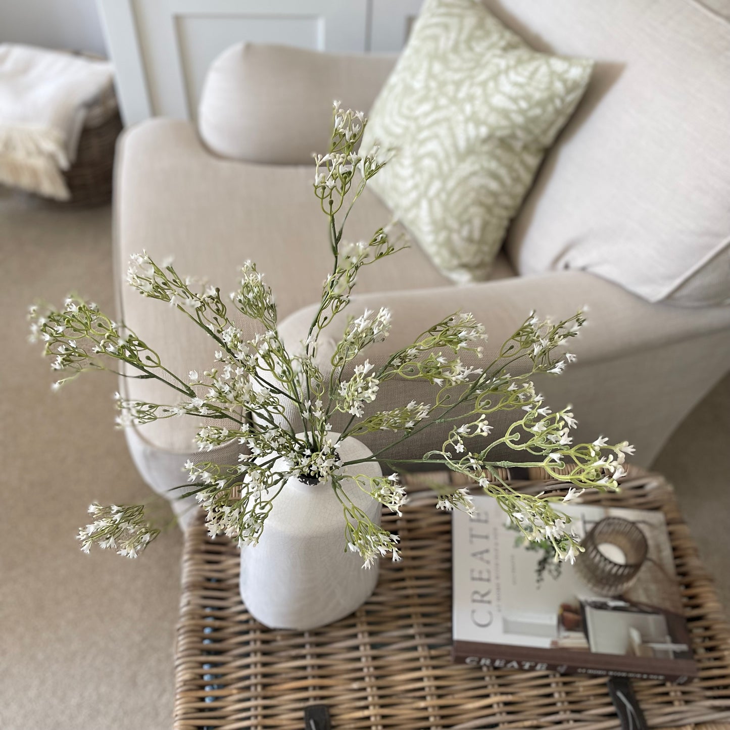 White Gypsophila Stem