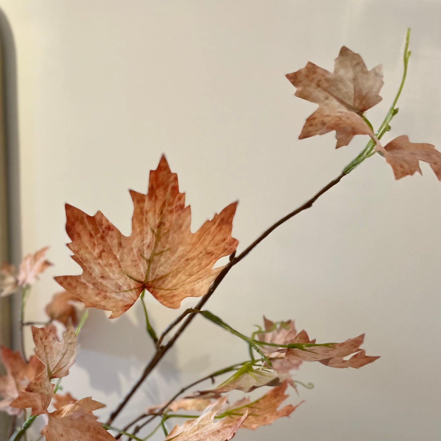 Maple Leaf Stem