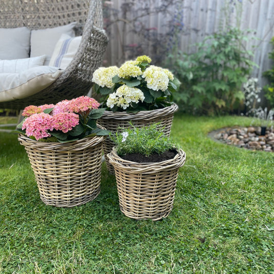 Tapered Rattan Planter