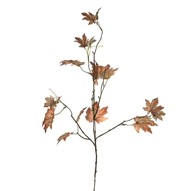 Maple Leaf Stem