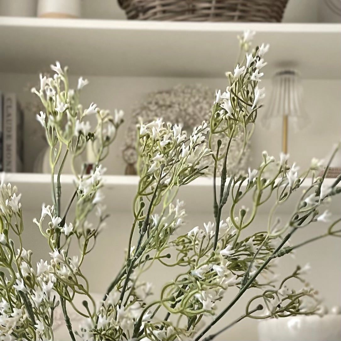 White Gypsophila Stem