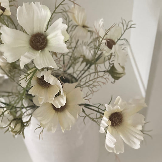 Close up of cream cosmos flowers with wispy foliage. Styled in a cream ceramic vase.