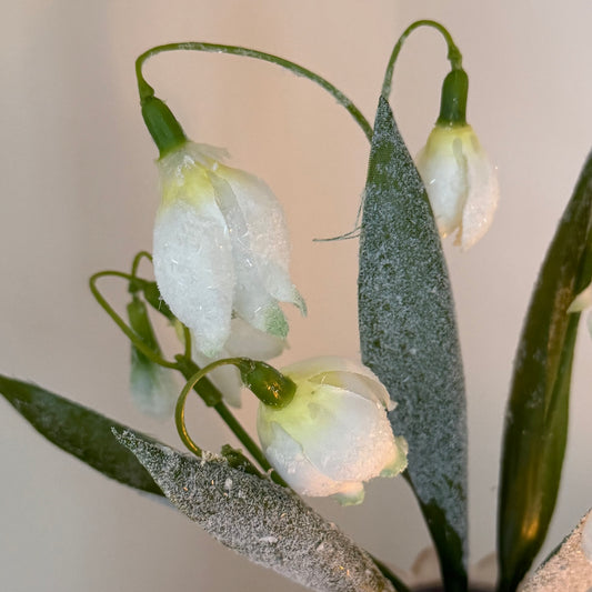 Realistic frosted snowdrop stem with delicate white blooms and soft frosted detail. Perfect for elegant winter home decor styling.
