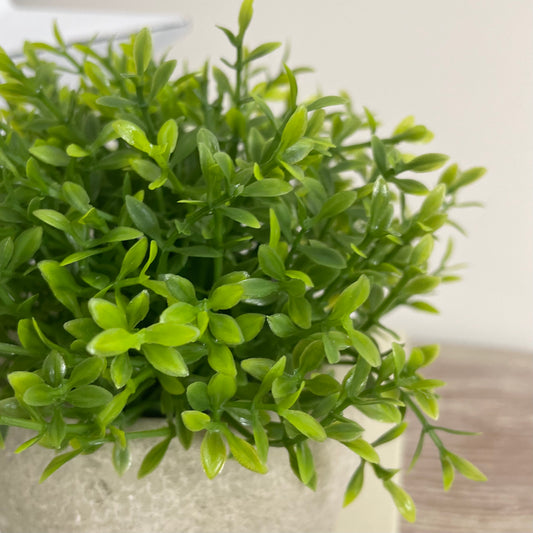 Faux light green Hebe bush in a rustic cement pot styled on a wooden console table in a calm, neutral living space.