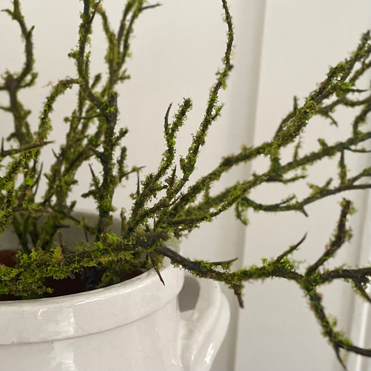 Close up of lifelike moss on decorative branch styled in a white ceramic pot.