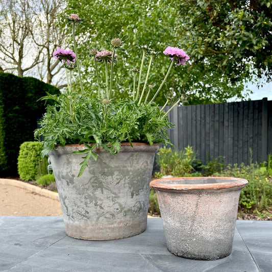 With its aged finish and simple, earthy charm, our small rustic terracotta pot is a timeless addition to any shelf, windowsill or garden nook. Perfect for herbs, succulents or seasonal blooms, each one carries natural variations that add to its character and story.