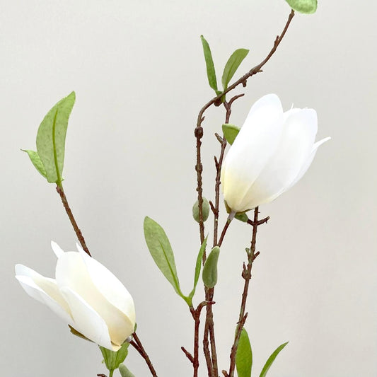 White faux magnolia stem with delicate blossoms and green leaves.