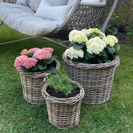 Tapered Rattan Planter