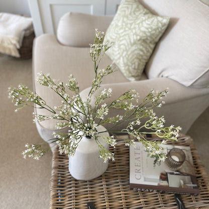 White Gypsophila Stem