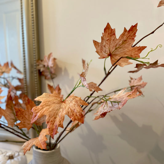 Maple Leaf Stem