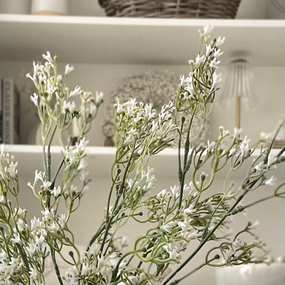 White Gypsophila Stem