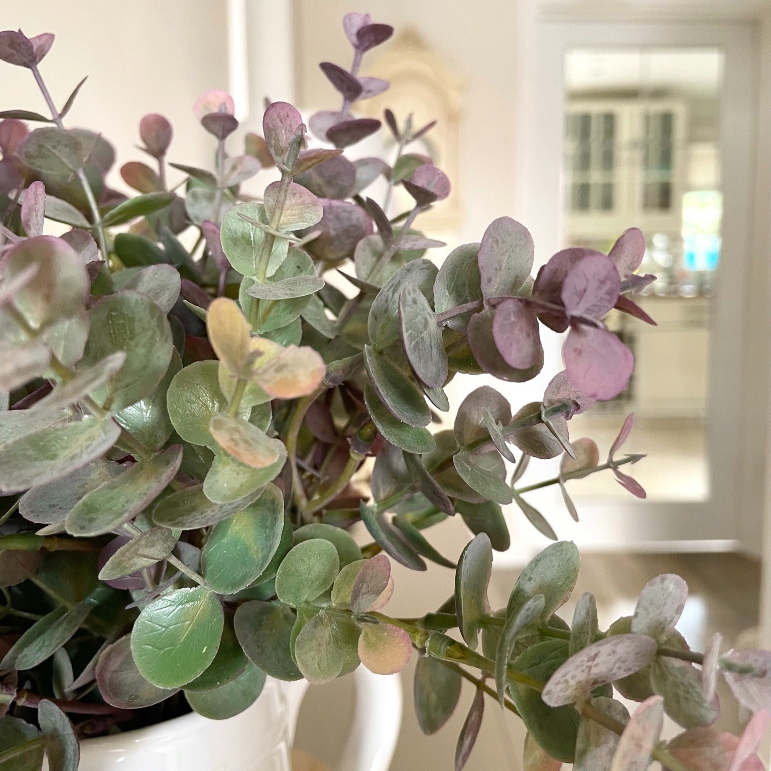 Artificial eucalyptus spray with soft green and burgundy tinted leaves styled in a rustic white vase on a wooden table, adding a subtle autumnal touch to the home.