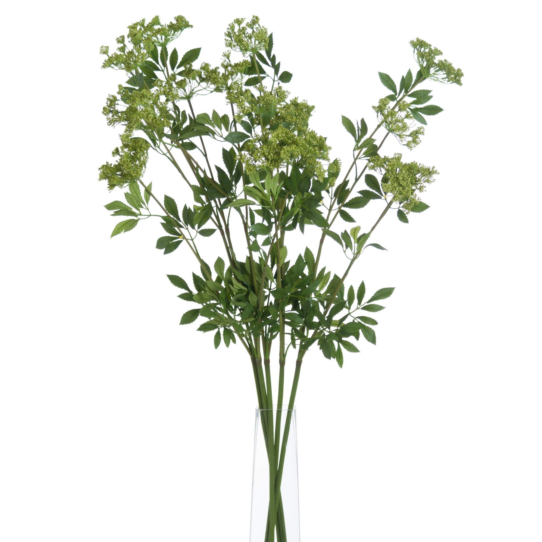 Bunch of faux cow parsley stems shown in front of a white background.