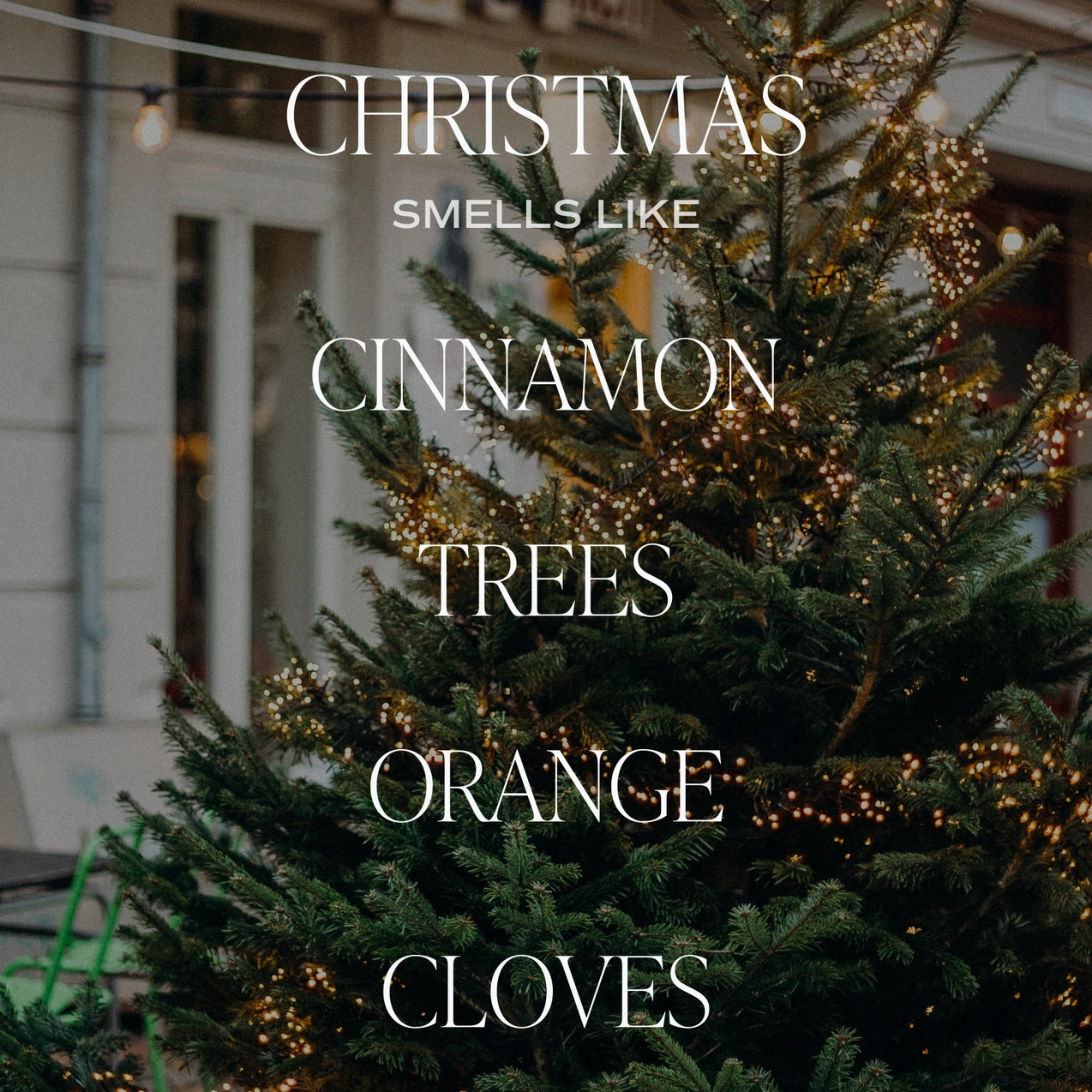 Vegan natural candle with Christmas tree, cinnamon, orange and clove scent.