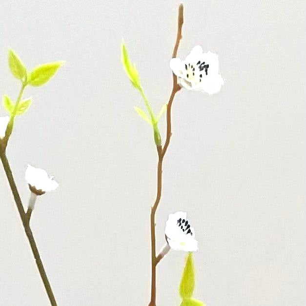 Close up of faux white blossom spray with three stems.