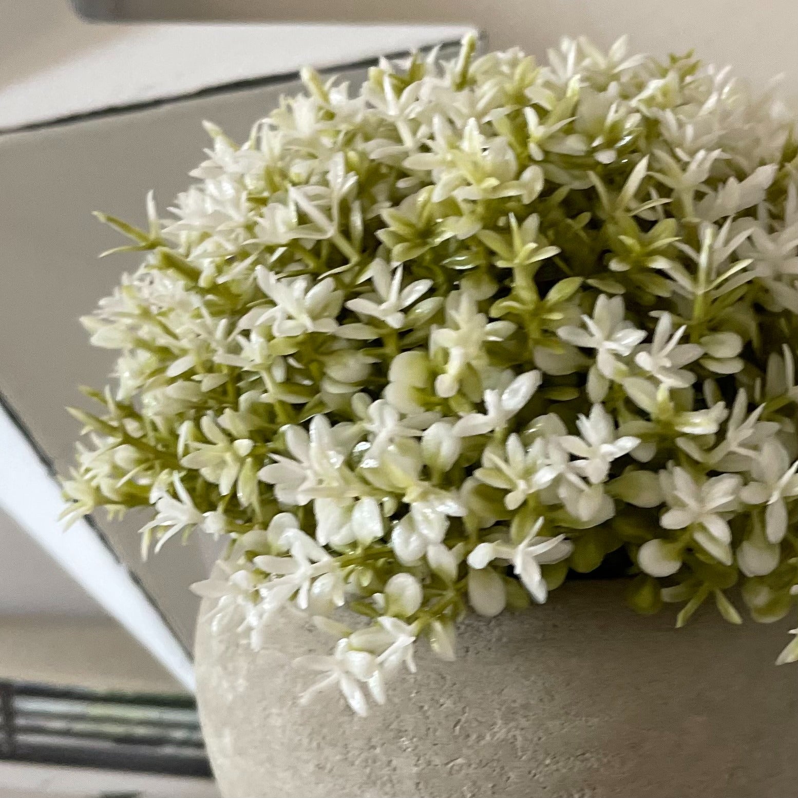 Faux white tipped Hebe bush in a rustic cement pot styled on a wooden shelf.