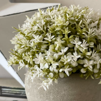 Faux white tipped Hebe bush in a rustic cement pot styled on a wooden shelf.