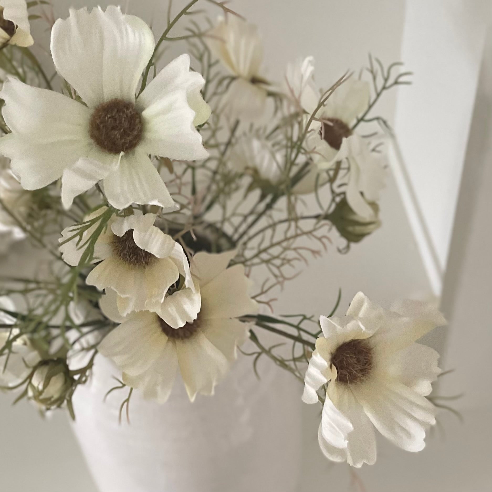 Close up of cream cosmos flowers with wispy foliage. Styled in a cream ceramic vase.