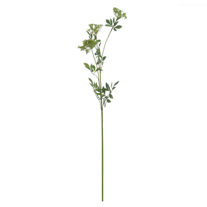 Faux Cow Parsley stem styled in front of white background.
