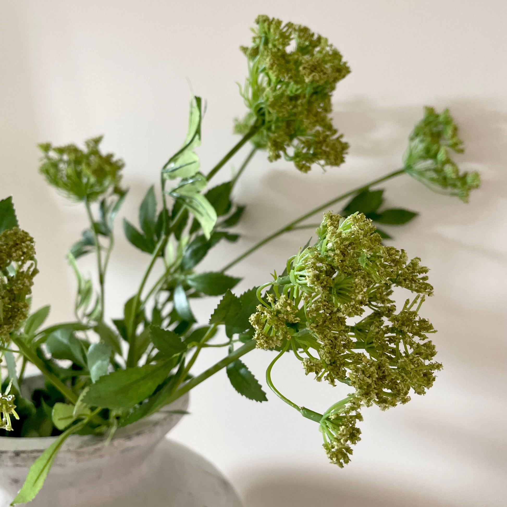 Faux Cow Parsley stem styled in a stone vase.