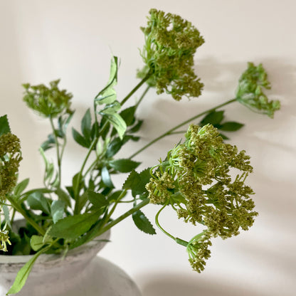 Faux Cow Parsley stem styled in a stone vase.