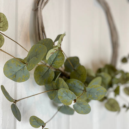 Close up of green eucalyptus leaves on a white background.