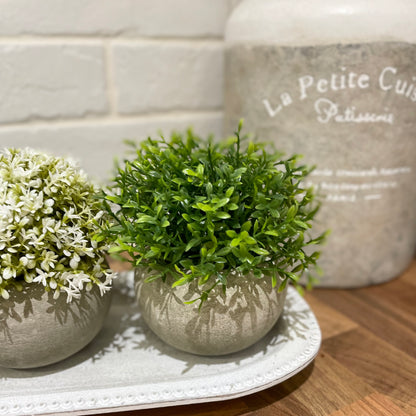Faux light green Hebe bush in a rustic cement pot styled on a wooden shelf in a calm, neutral living space.