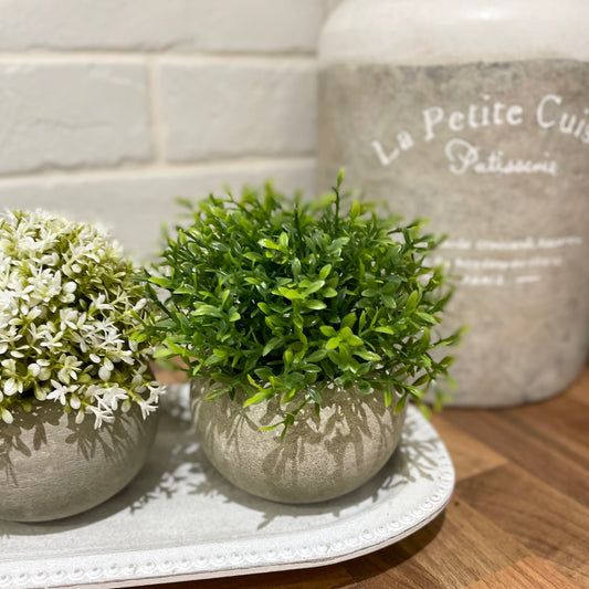 Faux light green Hebe bush in a rustic cement pot styled on a wooden shelf in a calm, neutral living space.