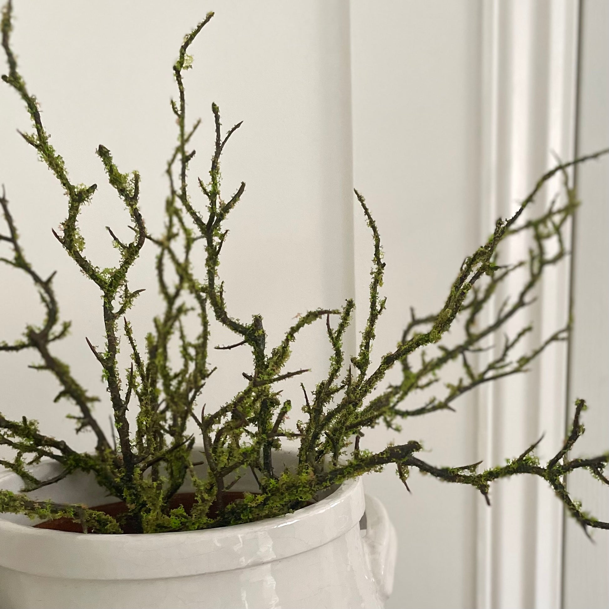 Faux moss stem used as filler in floral arrangement. Or simple arrangement styled alone in a white ceramic pot.