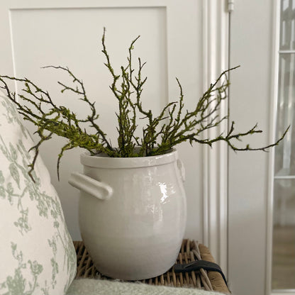 Moss branches styled alone in contemporary vase on a wicker trunk in a living room.