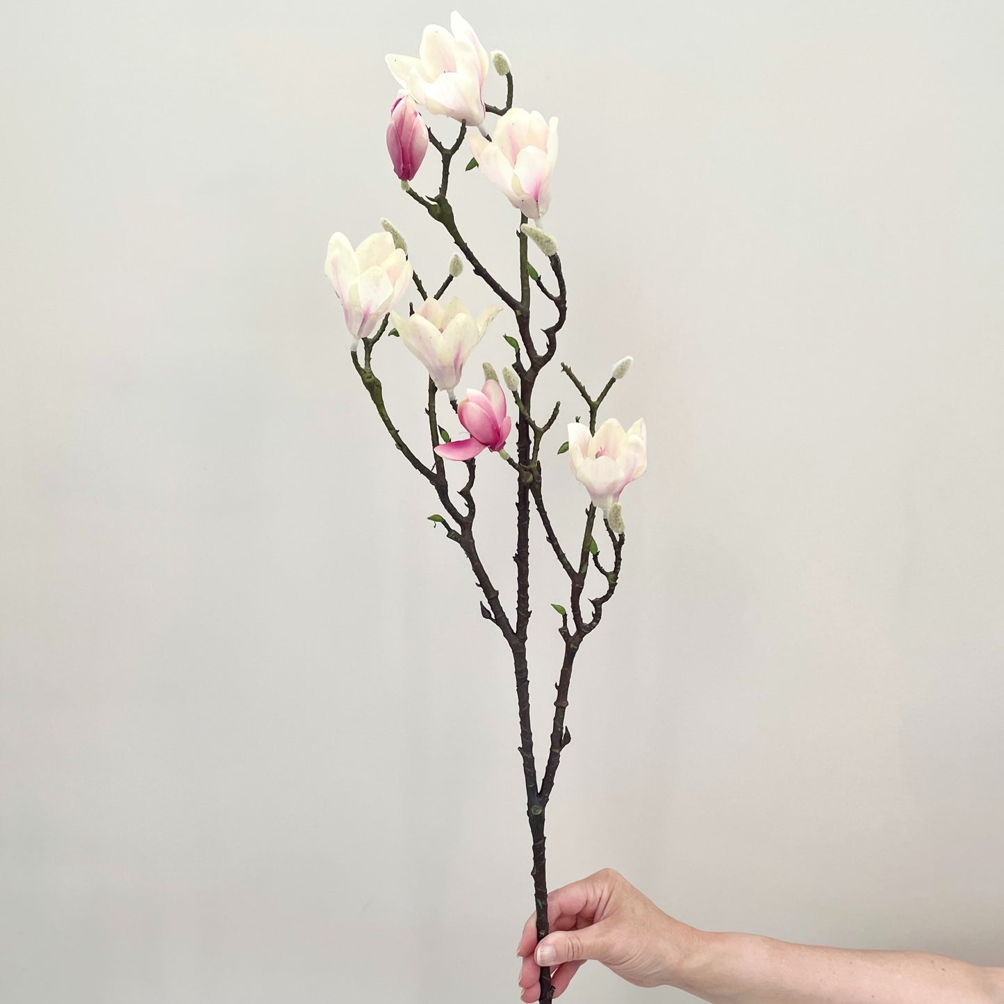 Large faux magnolia branch with pink blush and white flowers and real touch green leaves.