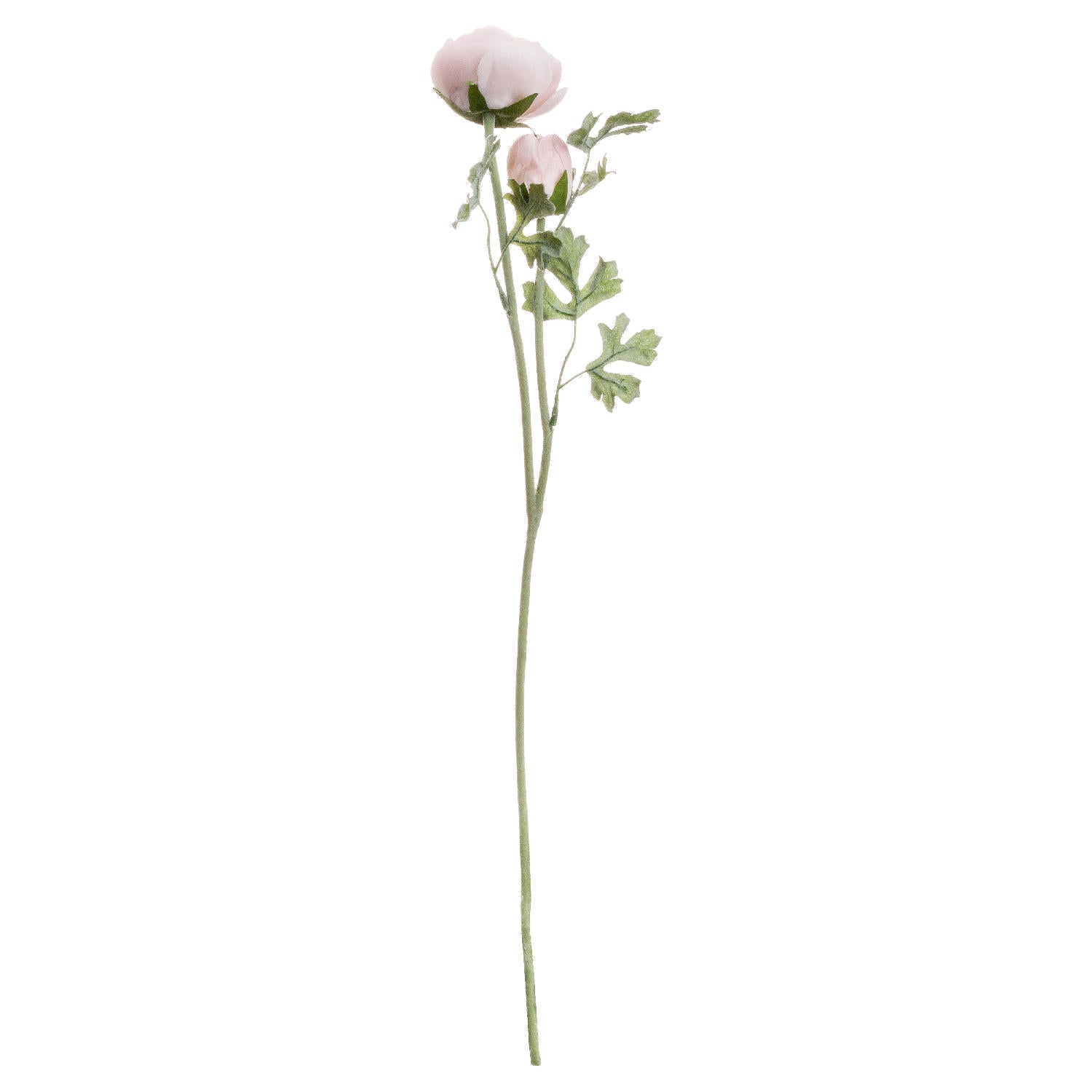 Single faux pastel pink ranunculus stem on a white background.
