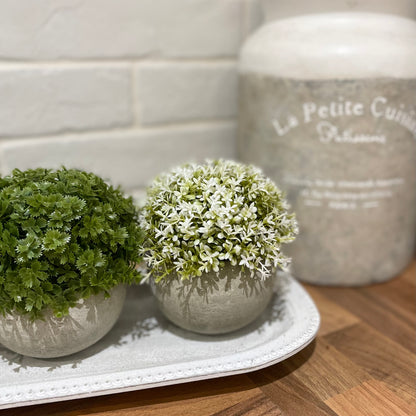 Faux white tipped Hebe bush in a rustic cement pot styled on a wooden kitchen work top.
