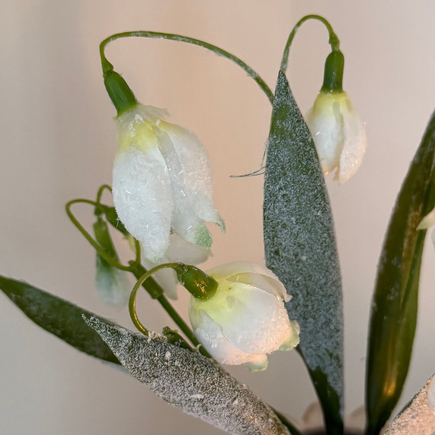 Realistic frosted snowdrop stem with delicate white blooms and soft frosted detail. Perfect for elegant winter home decor styling.