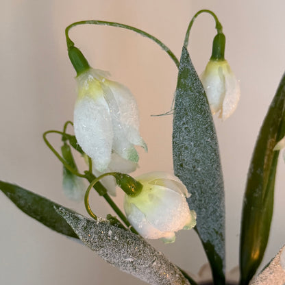 Realistic frosted snowdrop stem with delicate white blooms and soft frosted detail. Perfect for elegant winter home decor styling.