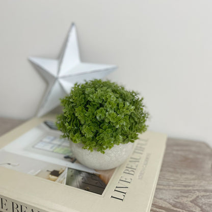 Faux green Hebe bush in a rustic cement pot styled on a book.