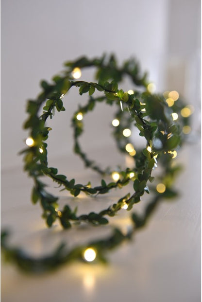Battery powered 3m LED fairy lights with warm white bulbs and delicate faux foliage.