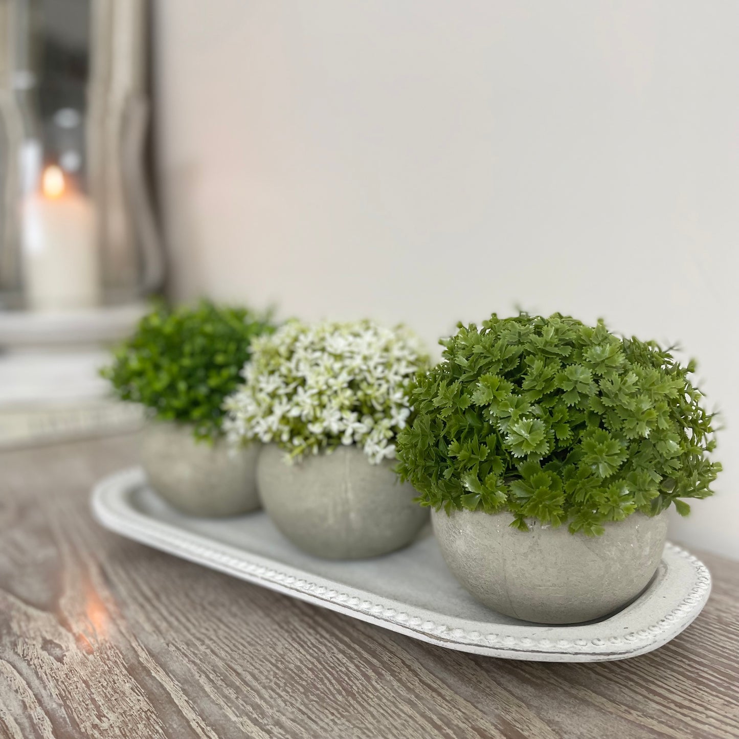 Faux white-tipped Hebe bushes in a rustic cement pot styled on a wooden tray.