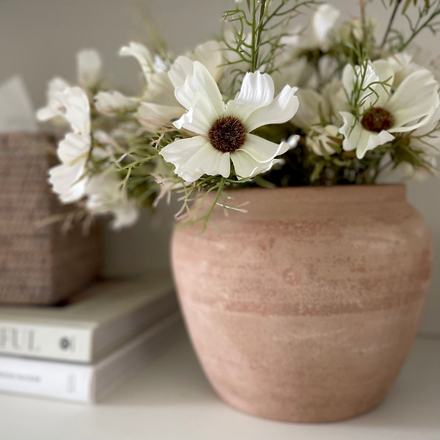 Terracotta pot with unique tones and handmade character. Styled with white cosmos stems.