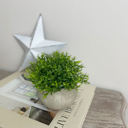 Faux light green Hebe bush in a cement pot styled on a book in a calm, neutral living space.
