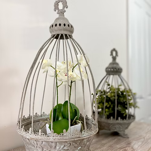 Decorative metal birdcage with a potted plant inside on a wooden surface.