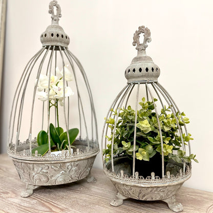 Hand finished grey metal caged planter with Verdigris wash, perfect for indoor or outdoor plants.