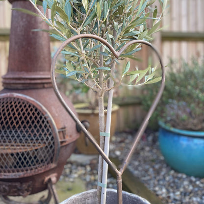 Close up of metal rustic heart stake in a country garden.