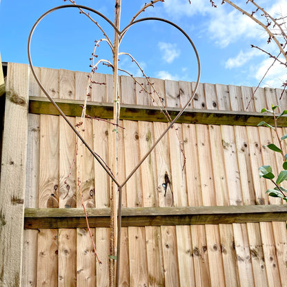 Rustic metal heart shaped garden stake with weathered finish, displayed outdoors with climbing plants.
