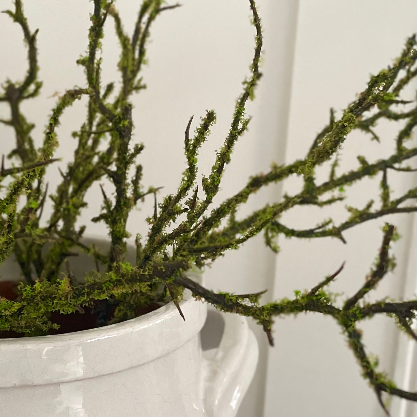 Close up of lifelike moss on decorative branch styled in a white ceramic pot.