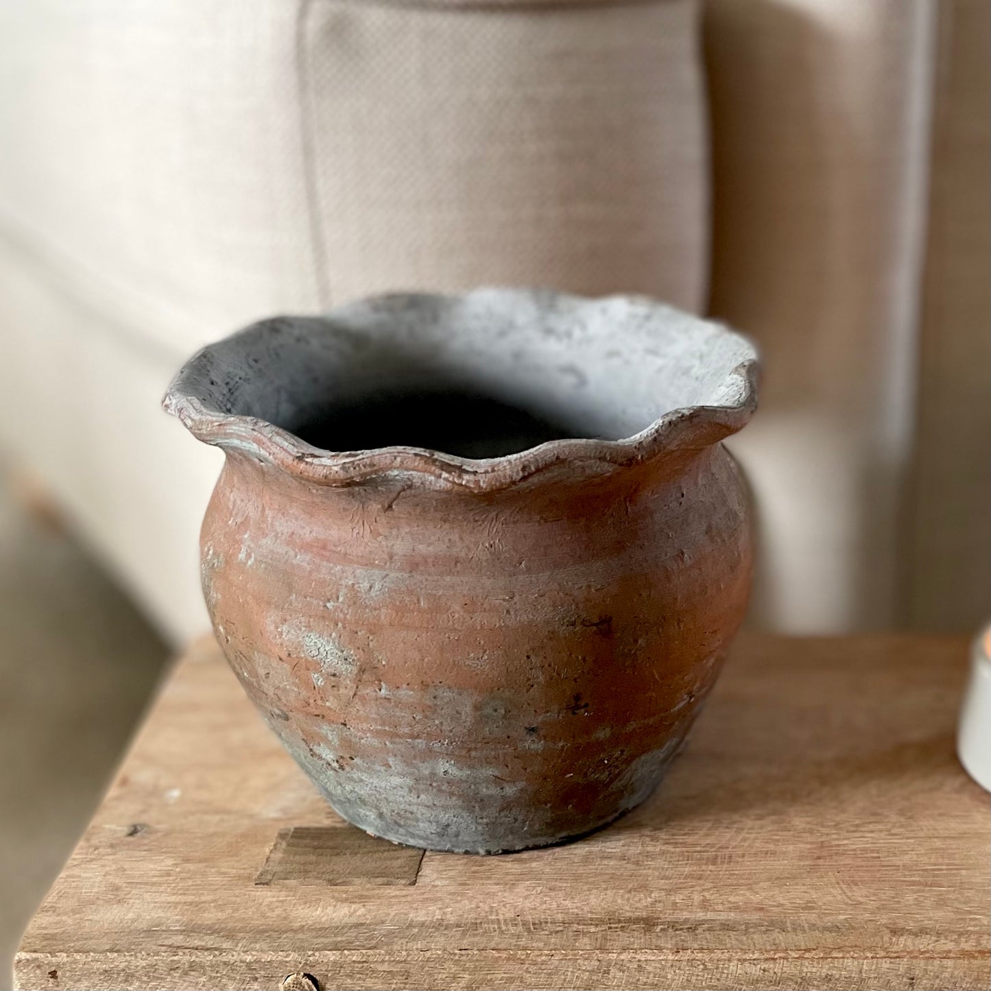 Rustic terracotta plant pot with pie crust edge. Styled on a wooden decorative stool.