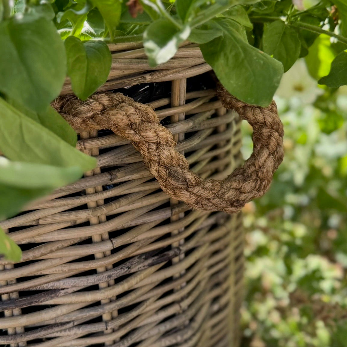 Handcrafted rattan planter with hidden plastic liner, perfect for front doors, patios, or garden corners