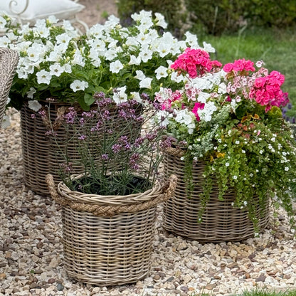 Three wicker planters with flowers on a pebble surface