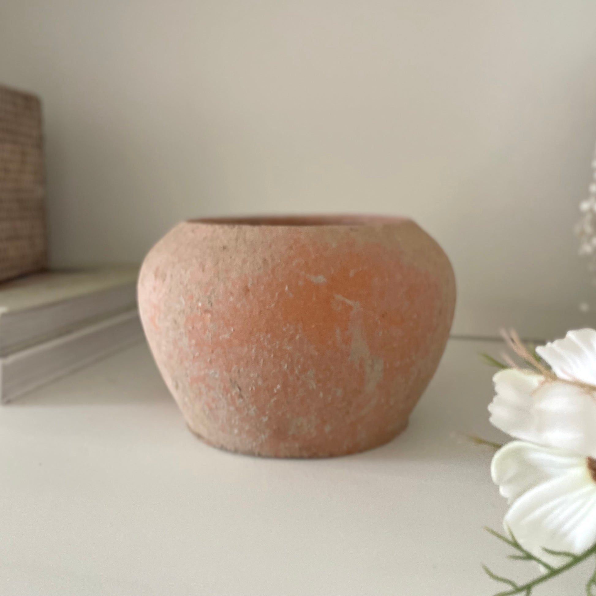 Light terracotta plant pot with rustic texture. Styled on a shelf with a cosmos spray.