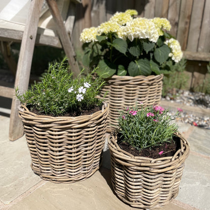 Handmade rattan planter styled with hydrangeas and flowers.